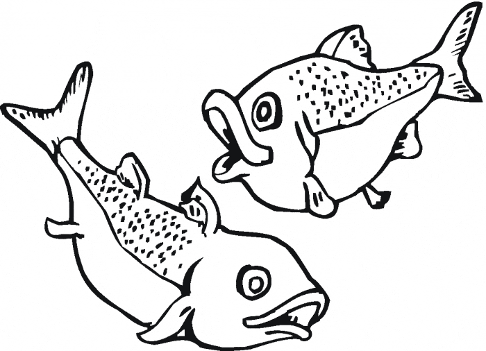salmon pictures to color chinook salmon coloring page salmon drawing fish salmon to pictures color 