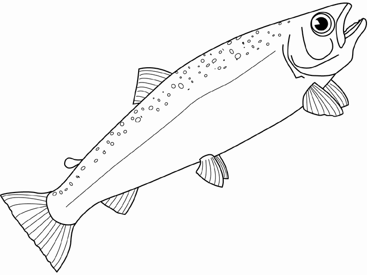 salmon pictures to color salmon coloring pages download and print salmon coloring to pictures salmon color 