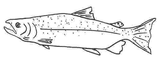 salmon pictures to color time to fly free salmon coloring pages salmon to pictures color 