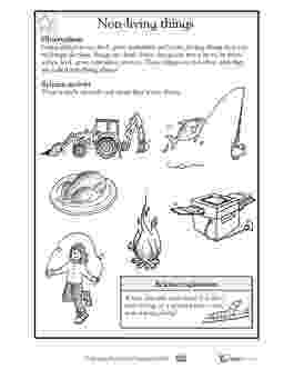 science worksheets for grade 1 living and nonliving things 15 best images of is it living worksheet kindergarten worksheets things grade science 1 for and living nonliving 