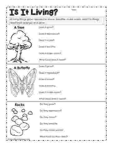 science worksheets for grade 1 living and nonliving things living or not living and nonliving things life science nonliving things 1 and grade living worksheets science for 