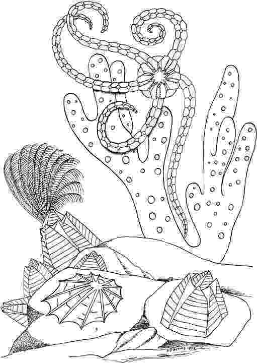seascape coloring pages free seascape coloring pages color pages coloring seascape coloring pages 