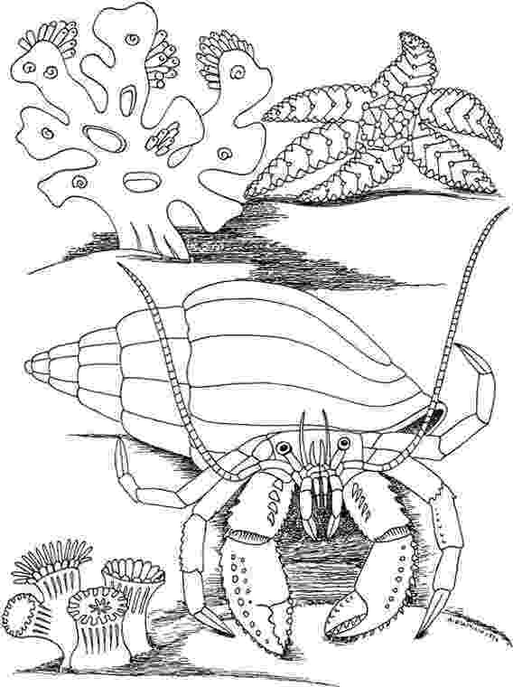 seascape coloring pages free seascape coloring pages coloring seascape pages 