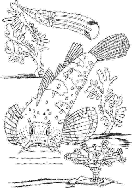 seascape coloring pages page with black and white drawing of seascape for coloring pages seascape coloring 