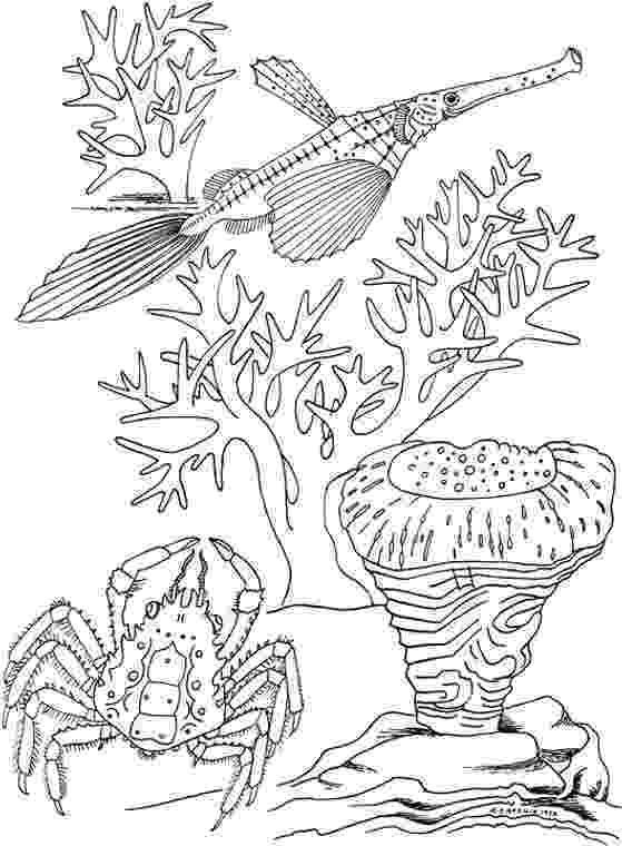 seascape coloring pages seascape free coloring pages pages coloring seascape 1 1