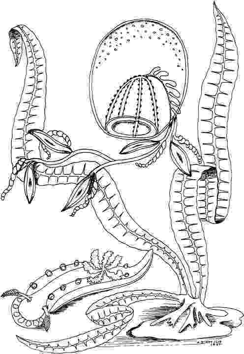 seascape coloring pages seascape free coloring pages seascape coloring pages 