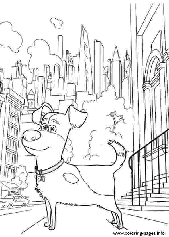 secret life of pets printables snowball from the secret life of pets coloring page free secret life pets of printables 