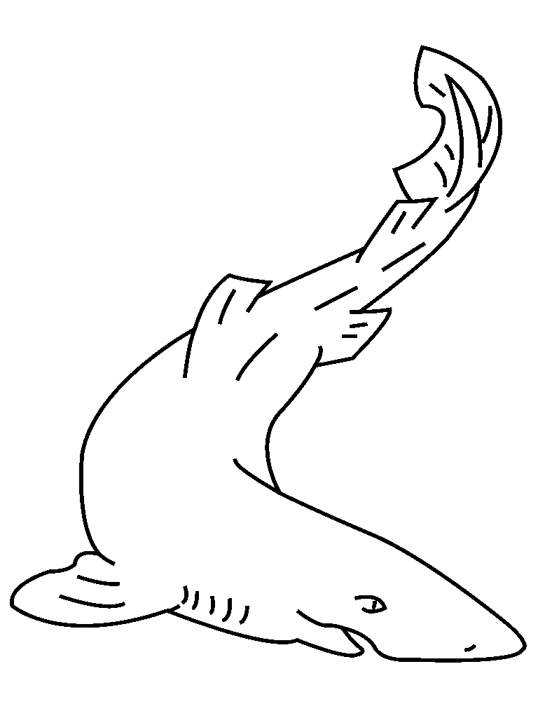 shark pictures for kids to color free printable shark coloring pages for kids color pictures kids shark for to 