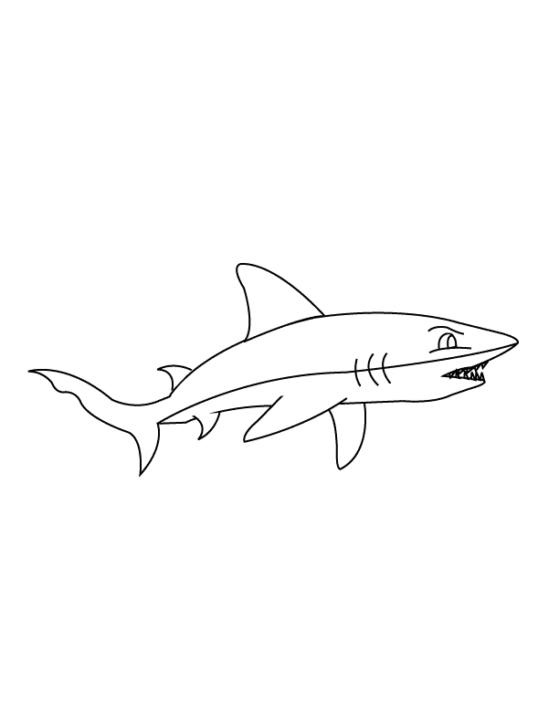 shark pictures for kids to color free printable shark coloring pages for kids shark color for pictures kids to 