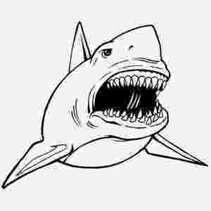 sharks to color coloring pages shark coloring pages free and printable color to sharks 