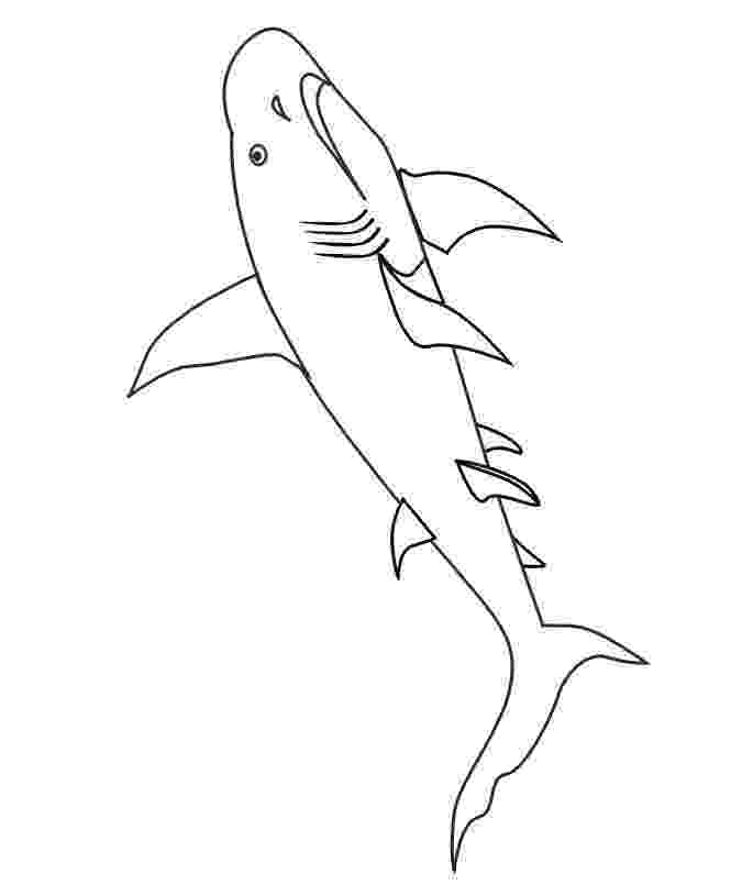 sharks to color free printable shark coloring pages for kids to color sharks 