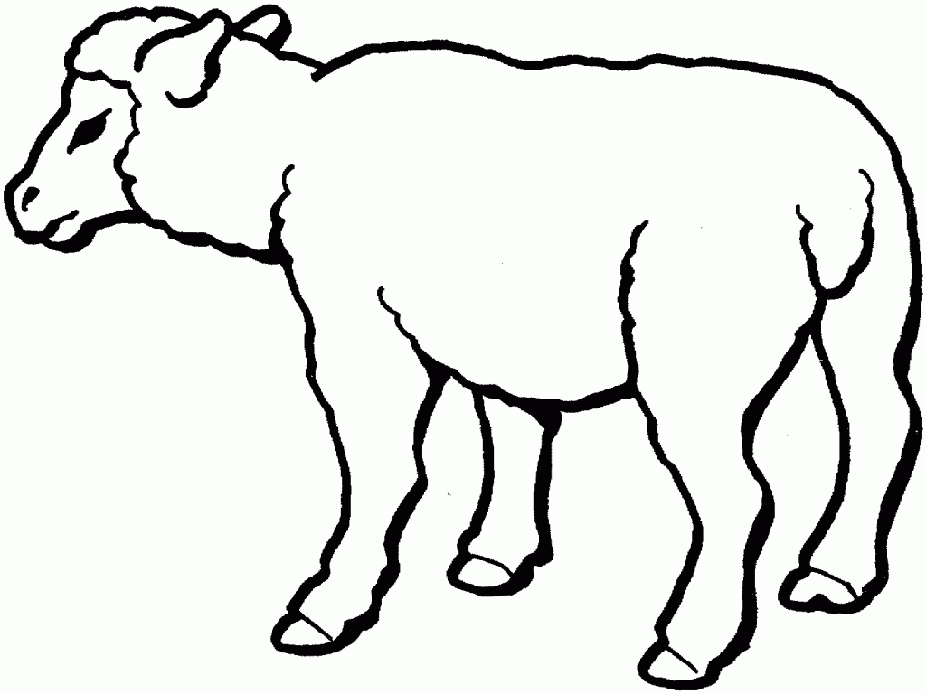 sheep coloring sheet free printable sheep coloring pages for kids sheep coloring sheet 