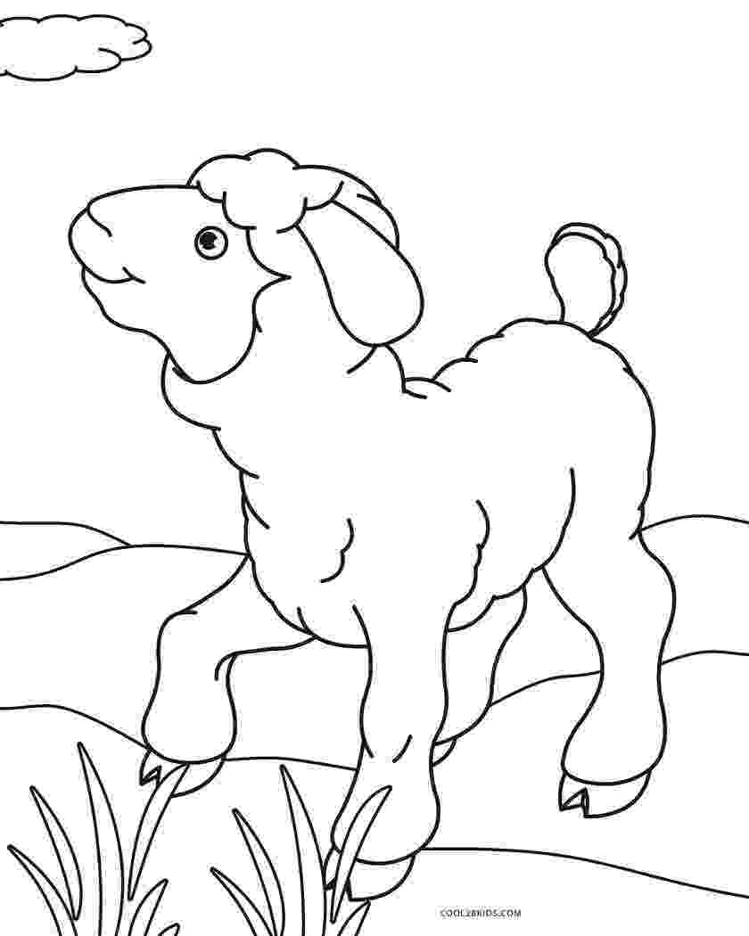 sheep coloring sheet free printable sheep coloring pages for kids sheet coloring sheep 
