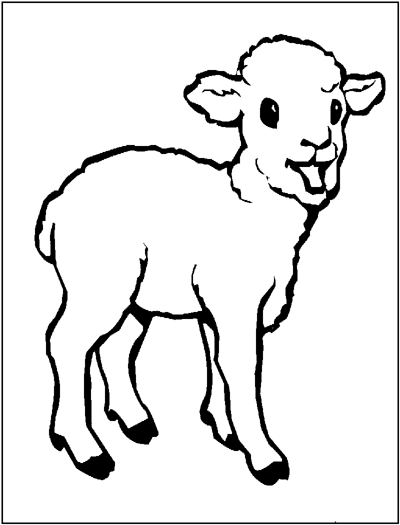 sheep coloring sheet sheep coloring pages to print year of sheep 2015 sheet sheep coloring 