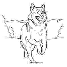 siberian husky coloring pages dog sled coloring page life skills lessons life skills husky pages siberian coloring 