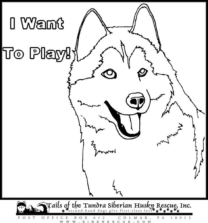 siberian husky coloring pages husky coloring download husky coloring for free 2019 pages siberian husky coloring 