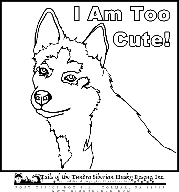 siberian husky coloring pages husky dogs to color huskydogscoloringpages puppy husky coloring pages siberian 