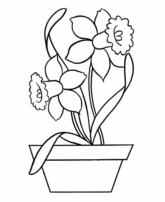 simple pictures to colour easy coloring pages best coloring pages for kids simple colour pictures to 