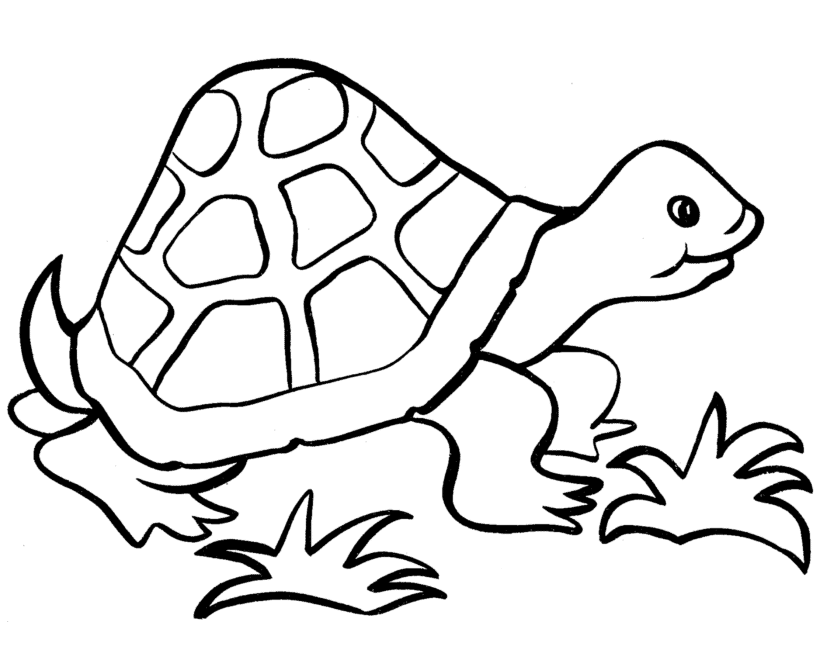 simple pictures to colour easy coloring pages to download and print for free colour simple to pictures 