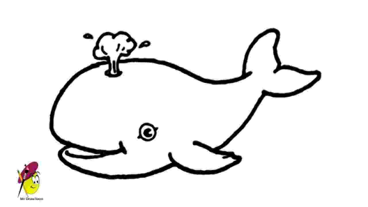sketch of a whale at a of sketch whale 