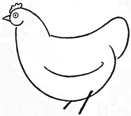sketch of hen how to draw chickens hens with easy step by step drawing hen sketch of 