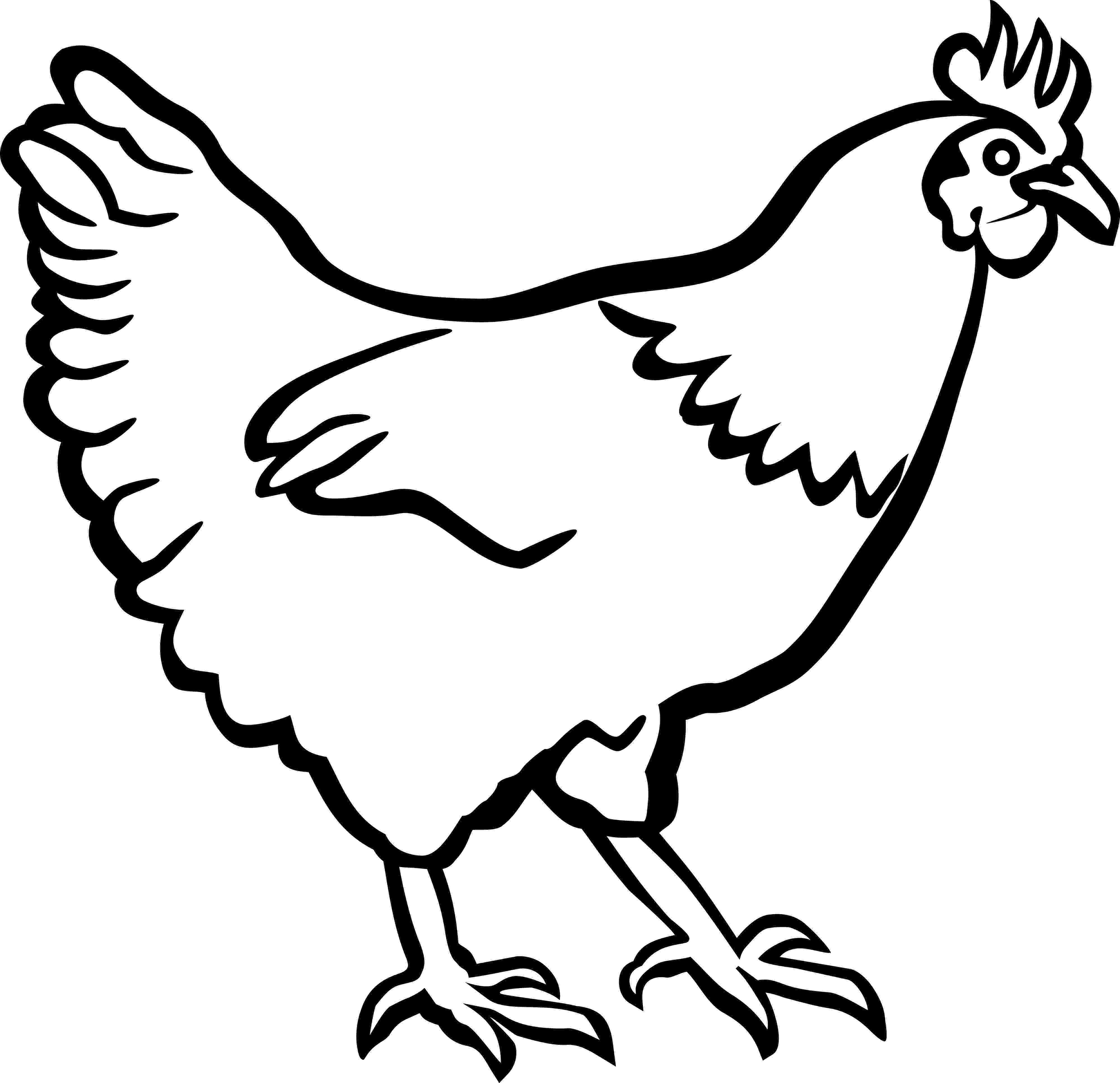 sketch of hen how to draw chickens hens with easy step by step drawing of hen sketch 