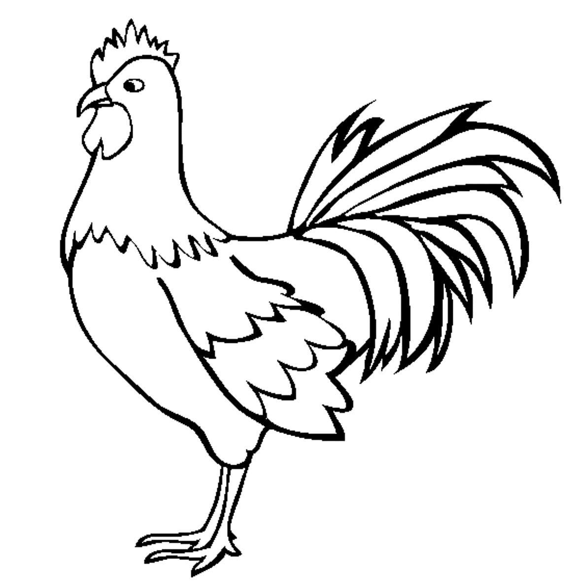 sketch of hen picture of hen in drawing clipart best hen of sketch 
