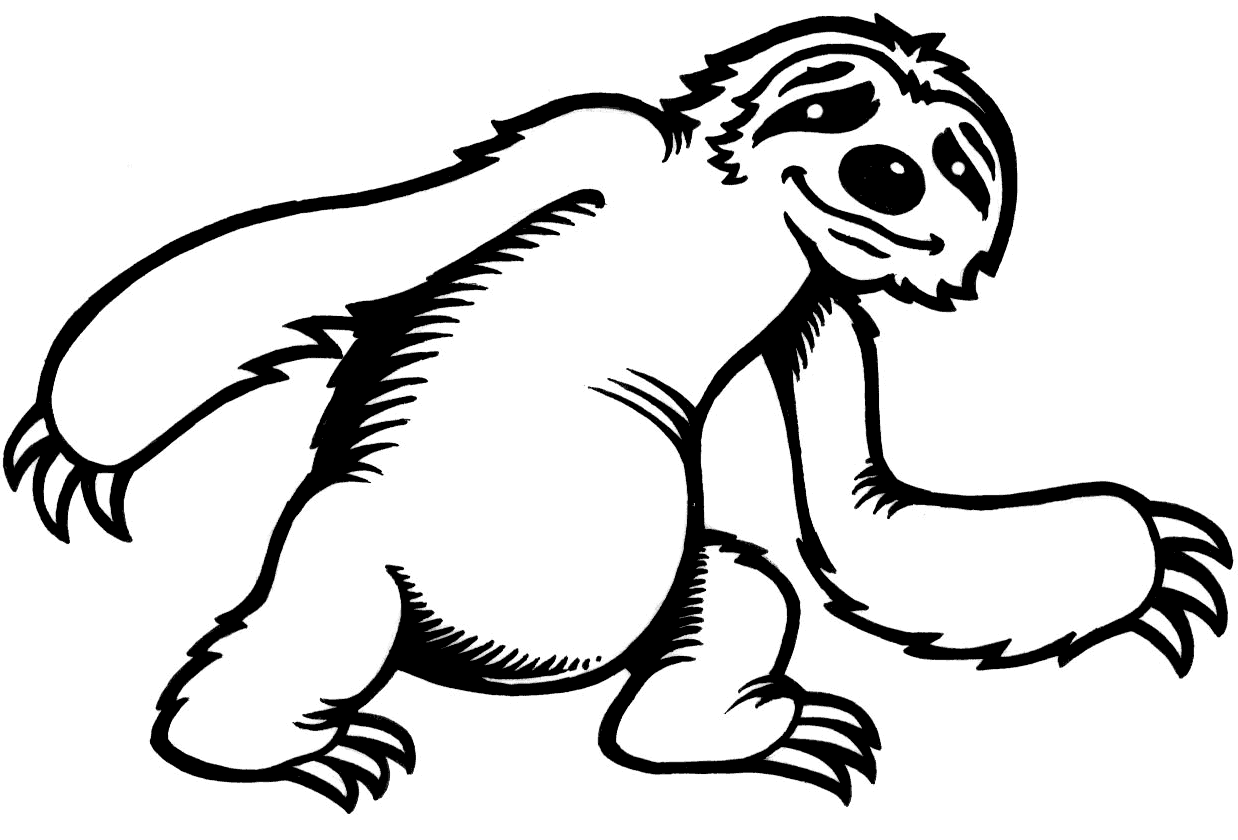 sloth coloring pages hanging sloth coloring pages download free hanging sloth sloth coloring pages 