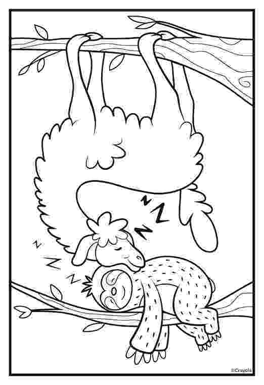 sloth coloring pages kari winters childrens39 book author drama in education pages coloring sloth 