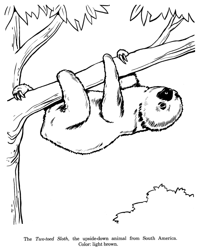 sloth coloring pages sloths love llamas nap time coloring page crayolacom pages coloring sloth 