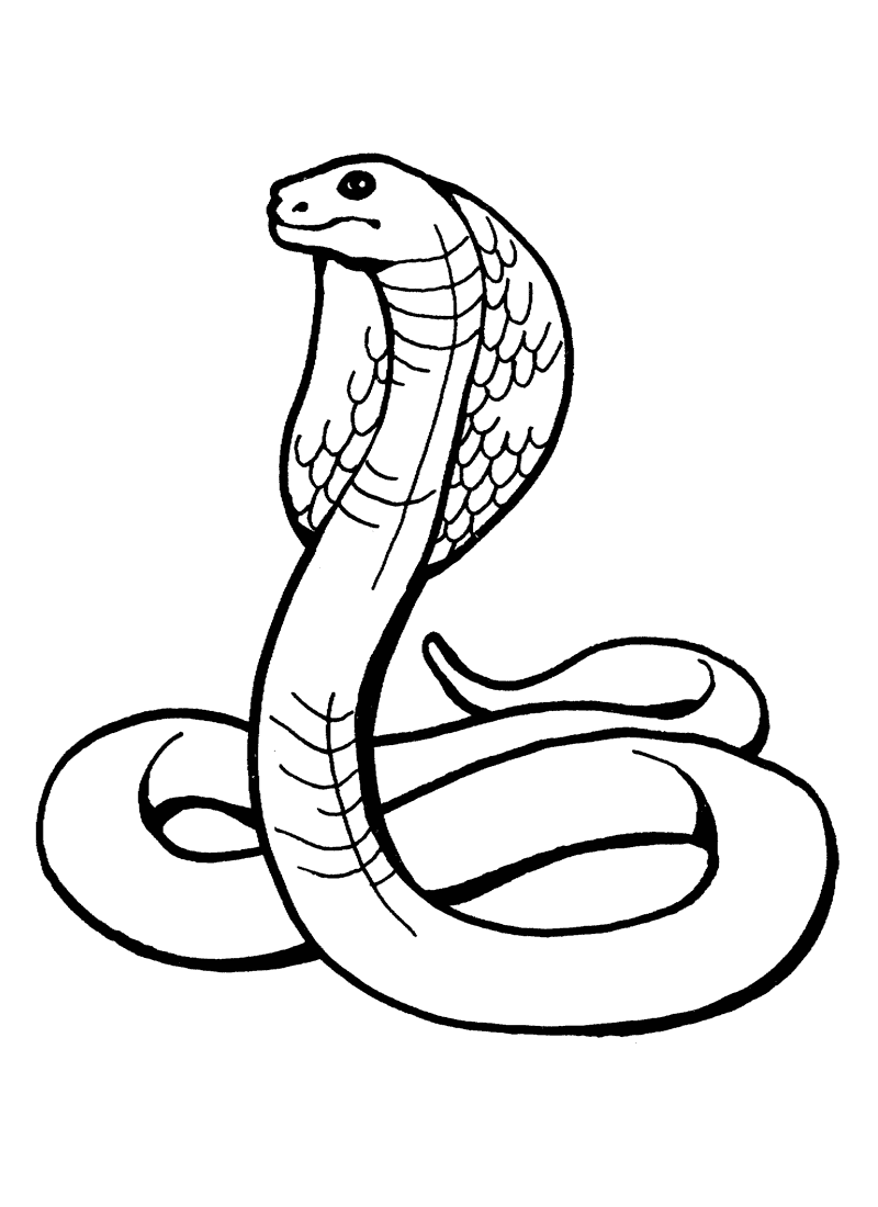 snake colour free printable snake coloring pages for kids colour snake 