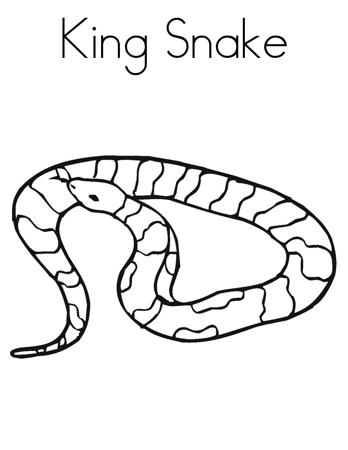 snake colour free printable snake coloring pages for kids snake colour 
