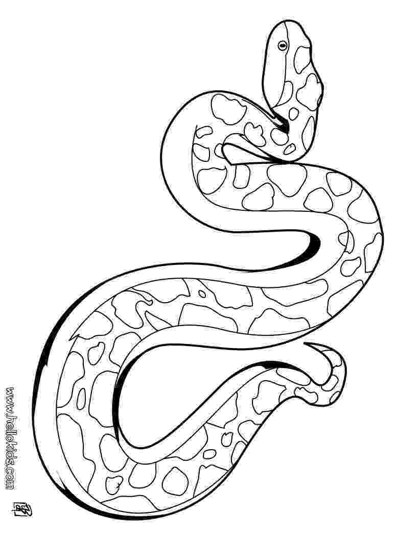 snake colour free printable snake coloring pages for kids snake colour 1 4