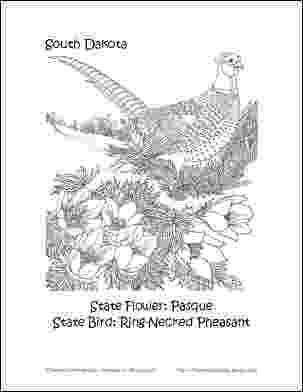 south dakota state bird 24 best states images on pinterest south dakota state south dakota bird 