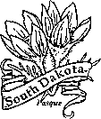 south dakota state flower pictures 50 state flowers coloring pages for kids pictures south dakota flower state 