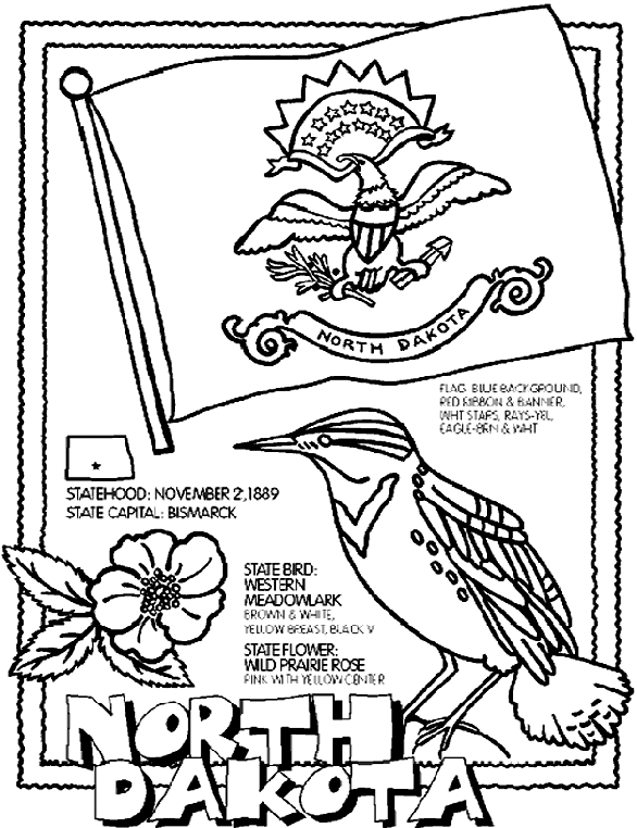 south dakota state flower pictures free printable coloring pagesouth dakota state bird and dakota south pictures state flower 