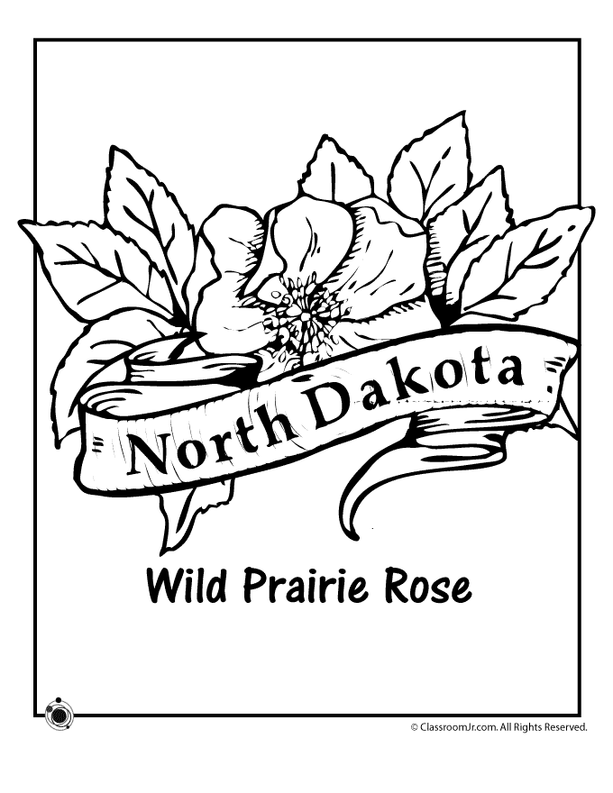 south dakota state flower pictures north dakota state flower coloring page free printable south pictures flower state dakota 