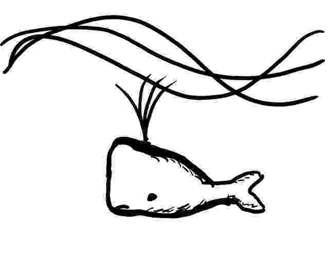 sperm whale sketch sperm whale drawing at getdrawingscom free for personal whale sketch sperm 