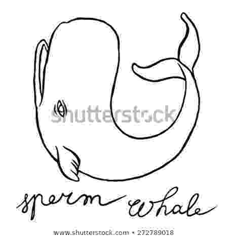 sperm whale sketch sperm whale line drawing at getdrawingscom free for sperm whale sketch 