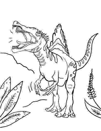 spinosaurus coloring spinosaurus coloring pages clipart free printable spinosaurus coloring 