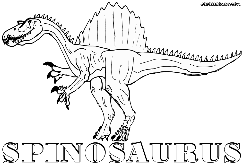 spinosaurus coloring spinosaurus coloring pages sketch free printable spinosaurus coloring 