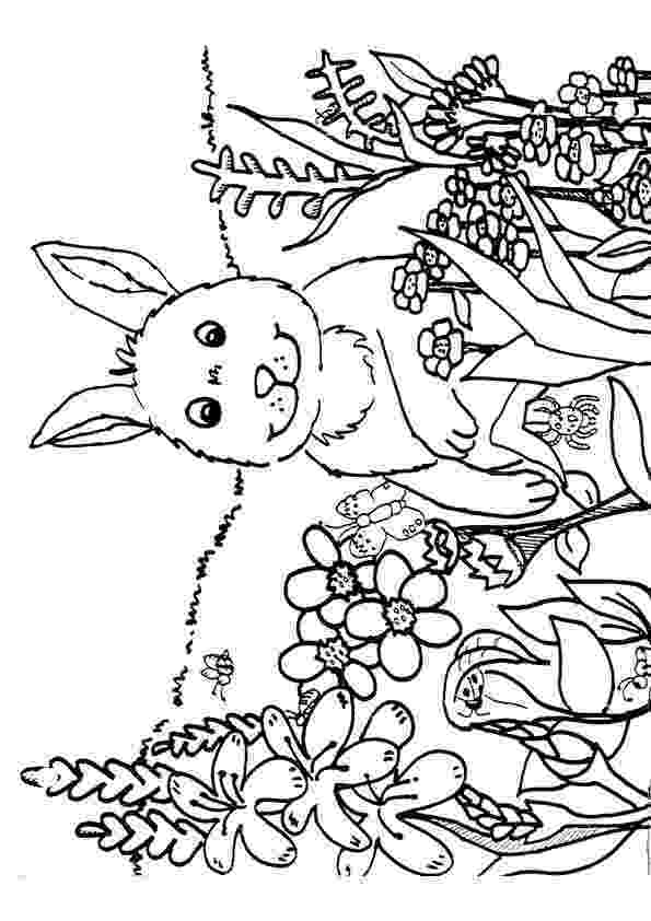 spring coloring sheets for toddlers spring coloring pages best coloring pages for kids for sheets spring coloring toddlers 
