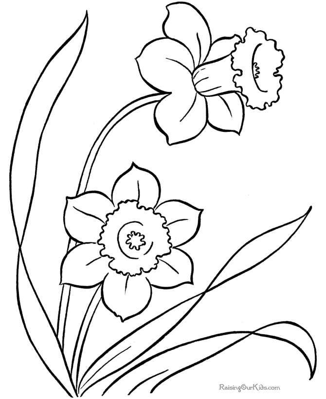 spring flower coloring pages flower garden coloring pages to download and print for free pages coloring spring flower 
