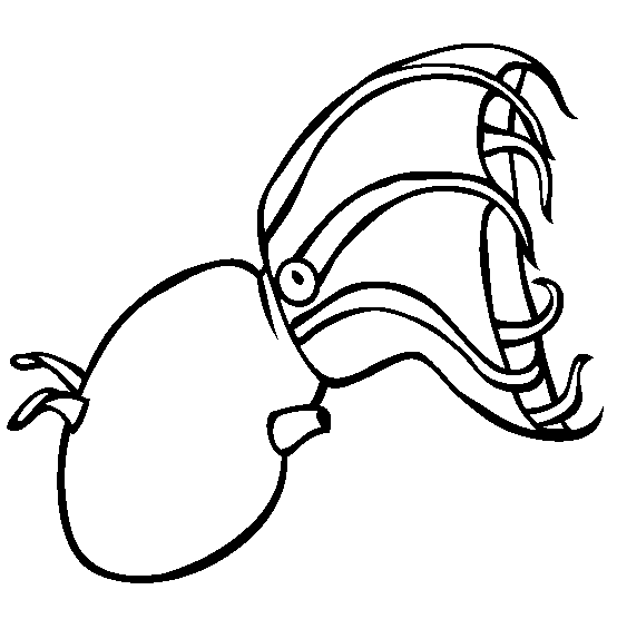 squid coloring page squid coloring pages to download and print for free page squid coloring 