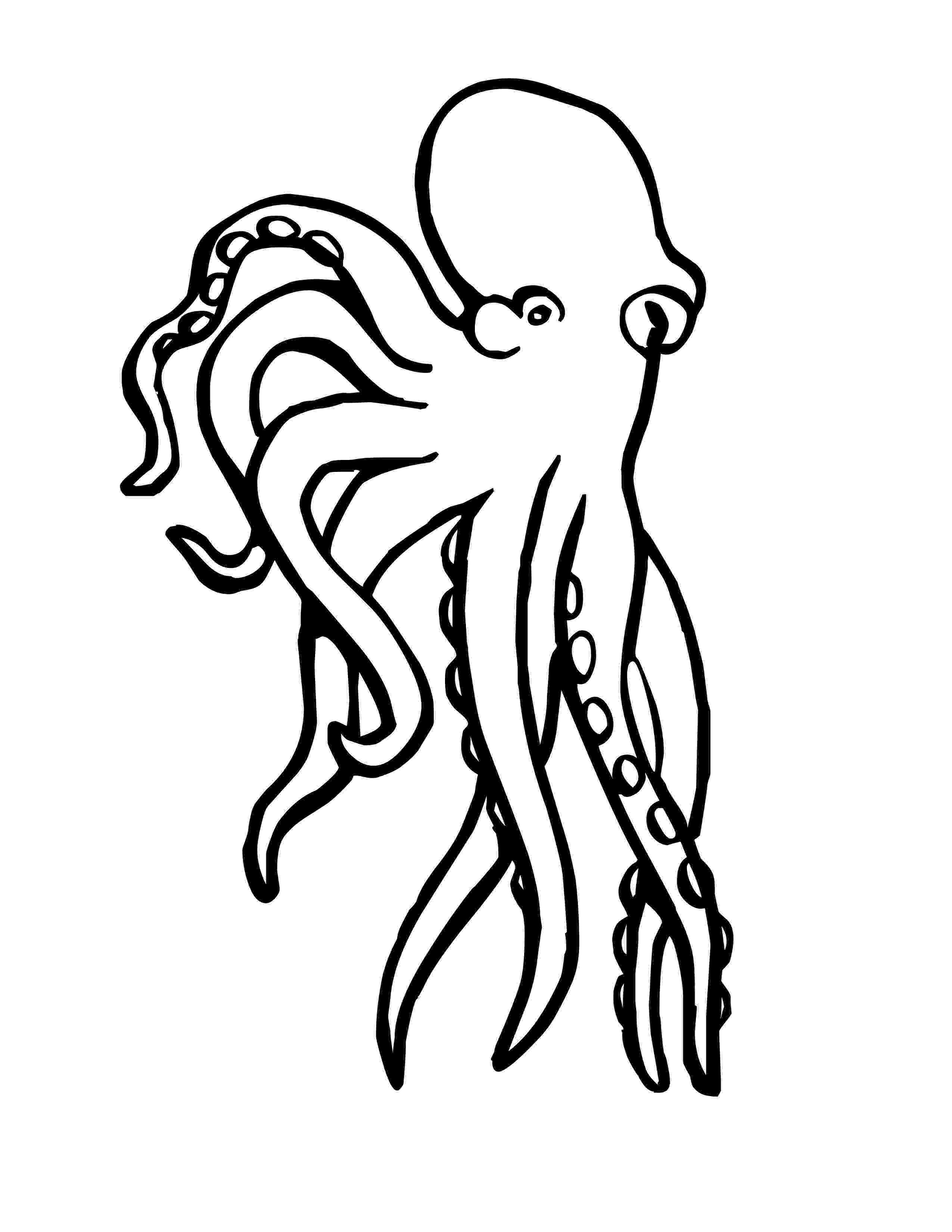 squid coloring page squid coloring pages to download and print for free squid page coloring 1 1