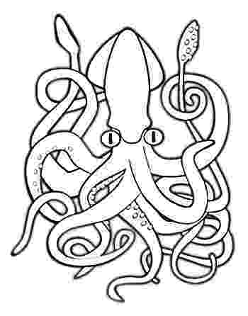 squid coloring page squid coloring pages to printable marine animals coloring page squid 