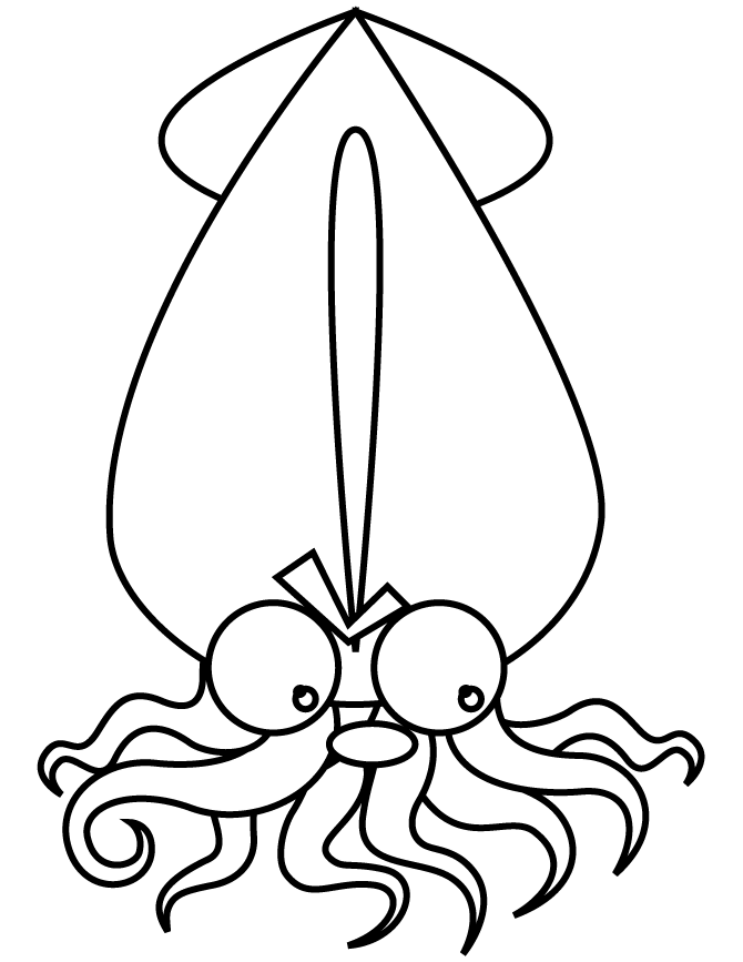 squid coloring page squid coloring pages to printable marine animals page coloring squid 1 1