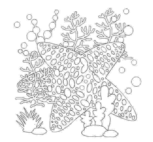 starfish coloring pages coloring pages seashells by millhill page 2 coloring pages starfish 