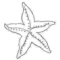 starfish coloring pages free ocean life coloring pages coloringsnet pages coloring starfish 