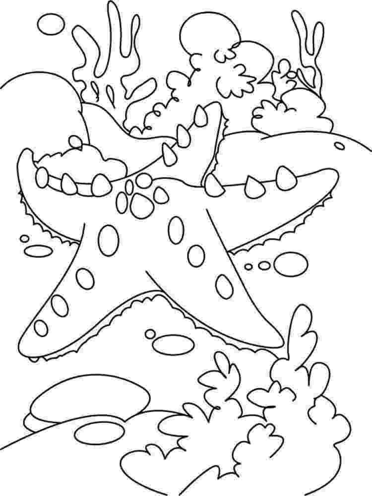 starfish coloring pages free printable starfish coloring pages for kids starfish pages coloring 